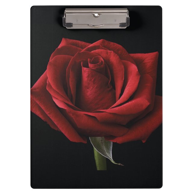 Pranchetas travesseiro decorativo rosa vermelha (Frente)
