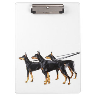 Pranchetas Três Dobermans na trela