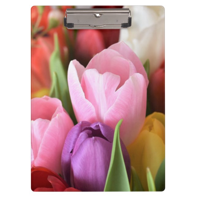 Pranchetas Tulip (Frente)