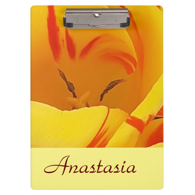 Pranchetas Tulipa Primavera amarela (Frente)