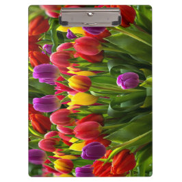 Pranchetas Tulipas Bris