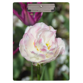 Pranchetas Tulipas cor-de-rosa brilhantes num dia ensolarado