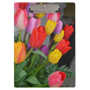 Pranchetas Tulipas primavera coloridas