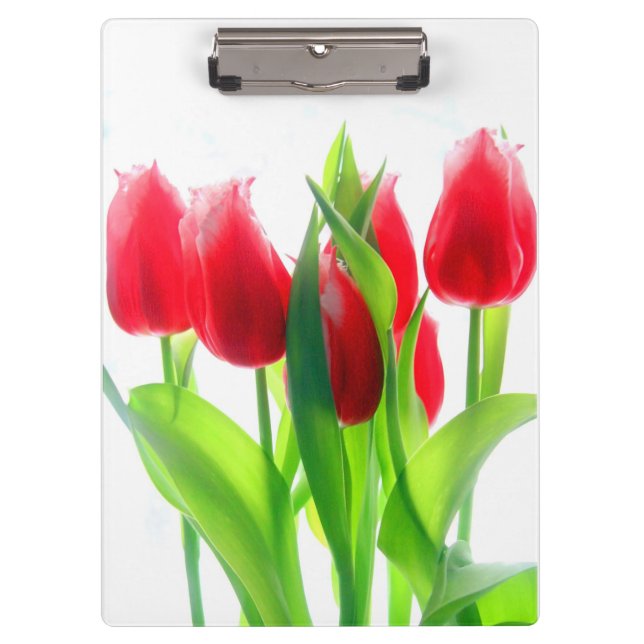 Pranchetas Tulipas Vermelhas Sobre Branco (Frente)