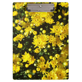 Pranchetas Uma multidão de Mães amarelas