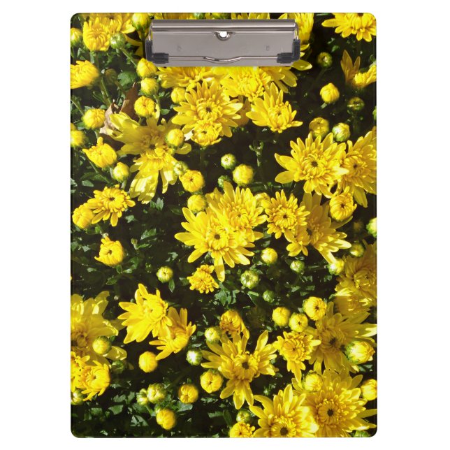 Pranchetas Uma multidão de Mães amarelas (Frente)