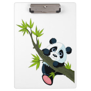 Pranchetas Urso de panda