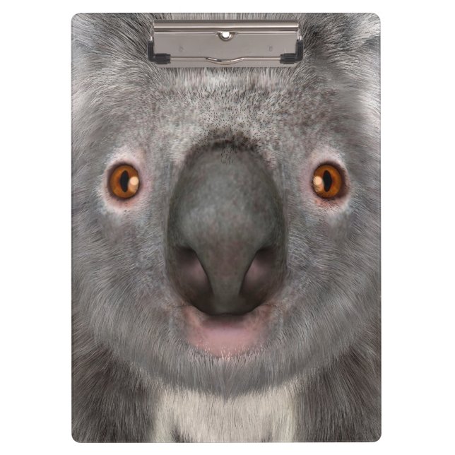 Pranchetas Urso Koala (Frente)