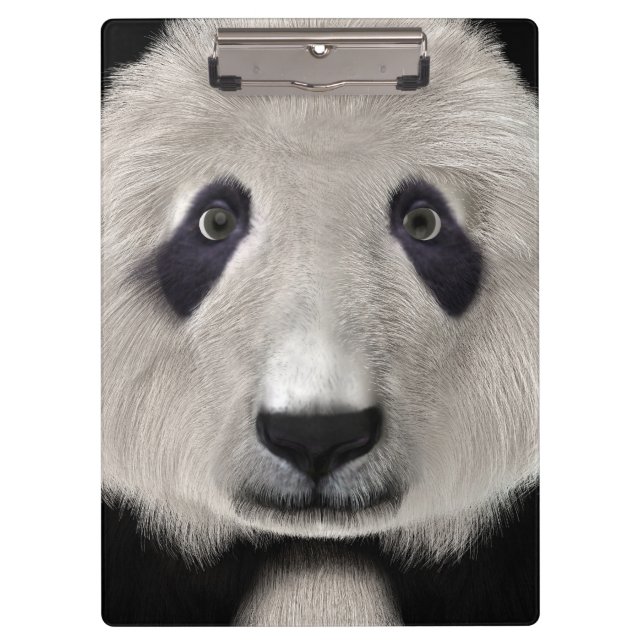 Pranchetas Urso Panda (Frente)