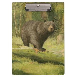 Pranchetas Urso Preto a Passar num Tronco de Árvore