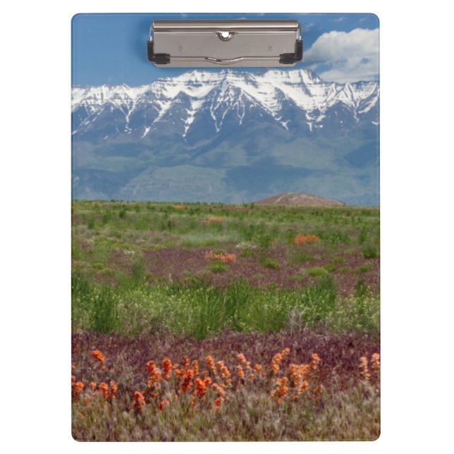 Pranchetas Utah, EUA. O Mt. Timpanogos se ergue acima (Frente)
