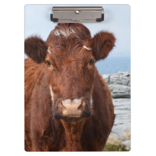 Pranchetas Vaca de Brown