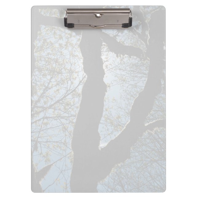 PRANCHETAS VER (Frente)