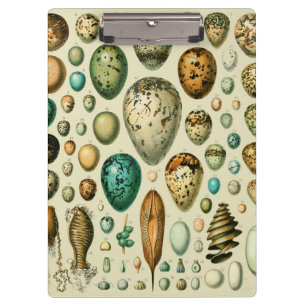 Pranchetas Vintage Bird Ovos de Peixes Franceses