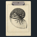 Pranchetas Vintage Black and White Conch Shell<br><div class="desc">Obtenha esta única imagem de concha branca e preta no seu próximo produto. Este incrível fundo de sépia com um Conch Negro e Branco parecerá excelente em qualquer coisa. Leve a praia com você para onde quer que vá.</div>