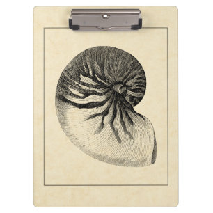 Pranchetas Vintage Black and White Conch Shell