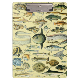 Pranchetas Vintage Fish Scientific Fishing Art