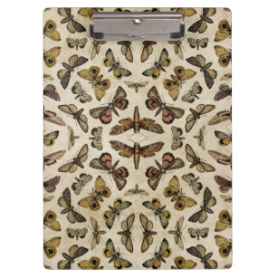 Pranchetas Vintage Moths