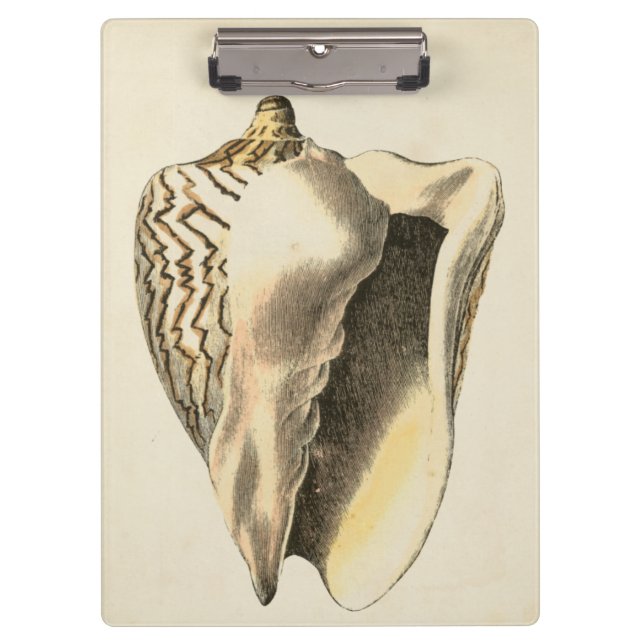 Pranchetas Vintage Sepia Conch Shell (Frente)