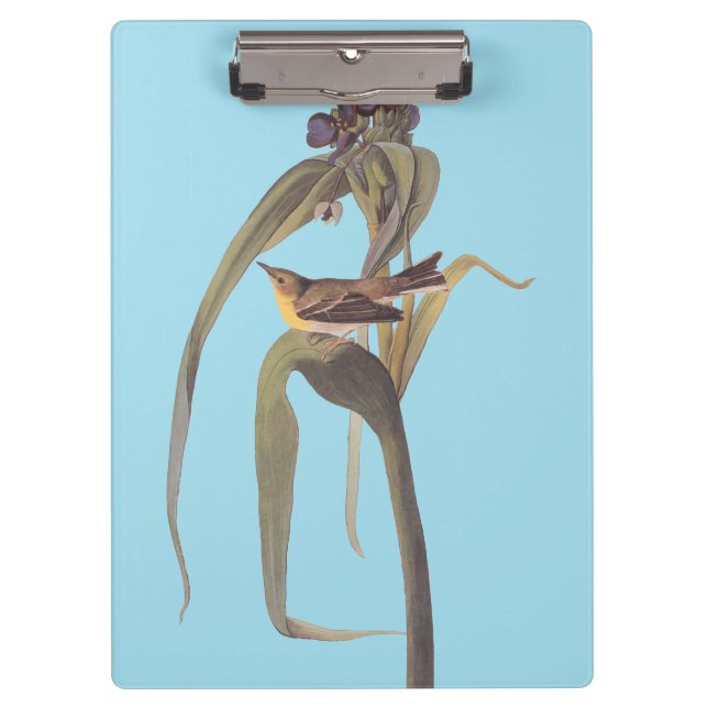 Pranchetas Vireo Songbird de Vigor de Audubon (Frente)