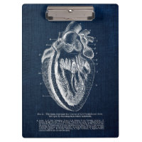 Visão Interior da Anatomia do Coração Humano