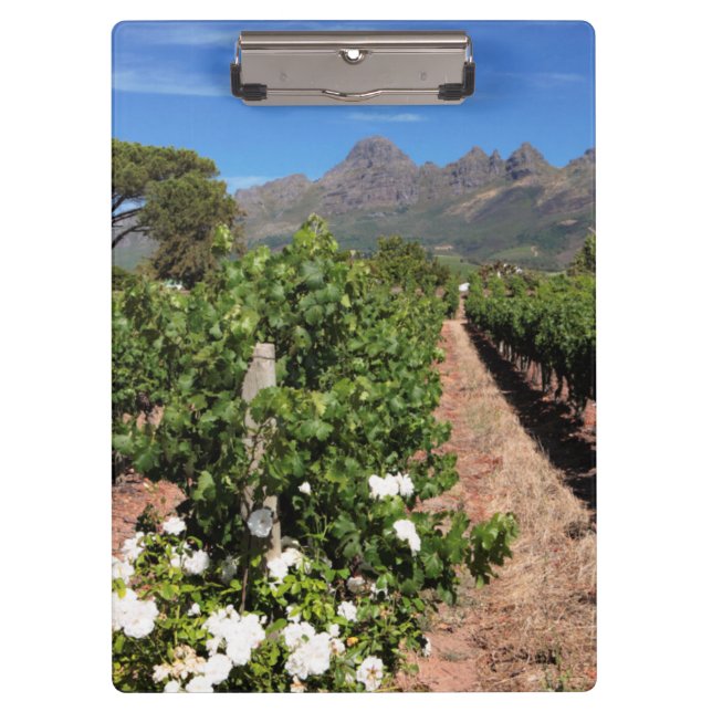 Pranchetas Vista de vinhas. Stellenbosch (Frente)