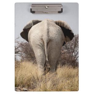 Pranchetas Vista traseira do elefante