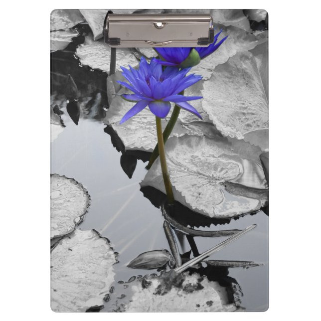 Pranchetas Water Lily Love (Frente)