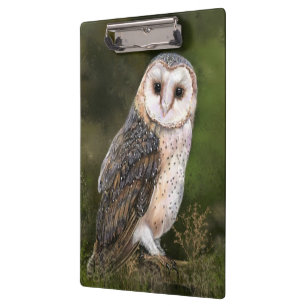 Pranchetas Western Barn Owl - Imagem de Cores-d'Água