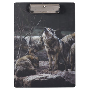 Pranchetas Wolf Pack