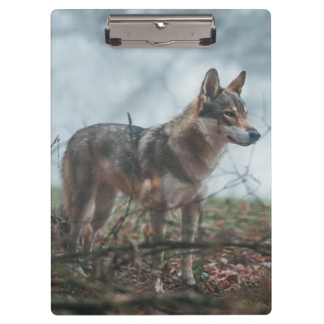 Pranchetas Wolfdog (Frente)