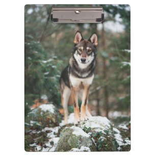 Pranchetas Wolfdog
