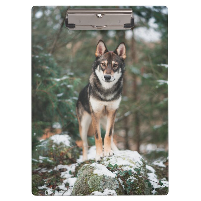 Pranchetas Wolfdog (Frente)