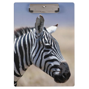 Pranchetas Zebra