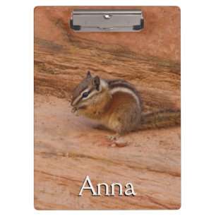 Pranchetas Zion Chipmunk em Rochas Vermelhas