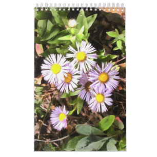 Práticas no Bloom de Calendário de 1 Ano