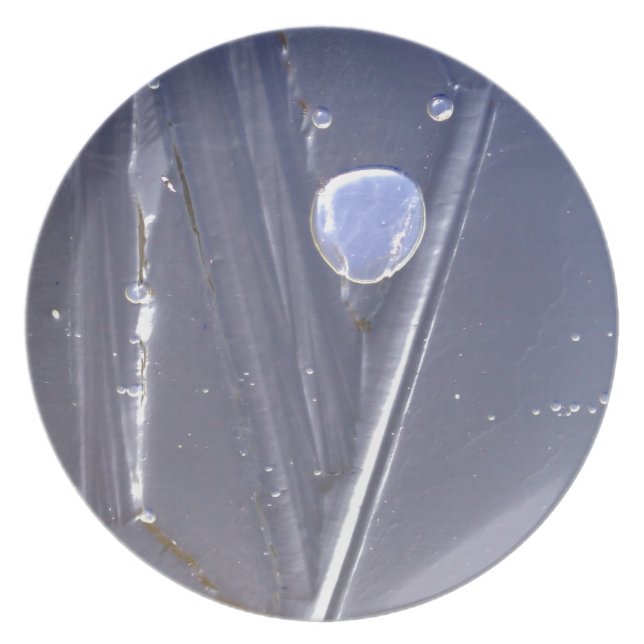 Prato Bolha congelada (Frente)