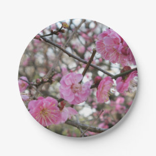 Prato De Papel 桜 do (cor-de-rosa da flor de cerejeira/Sakura/