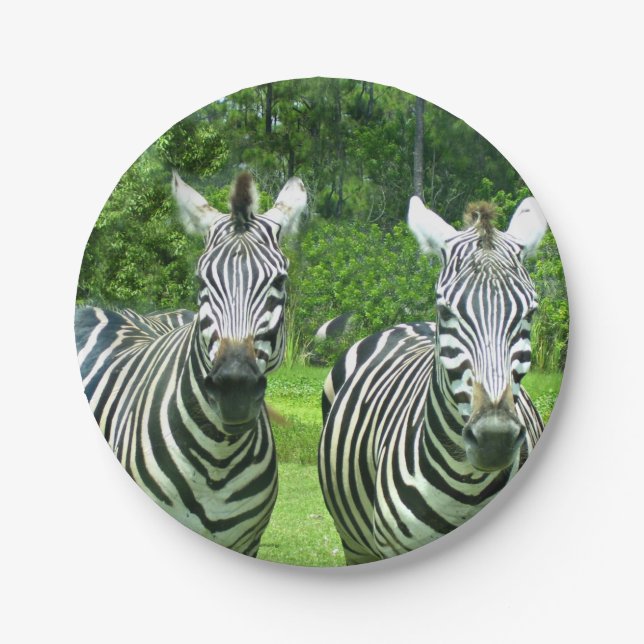 Prato De Papel 2 Zebras Fofos (Frente)