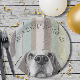 Prato De Papel 50º aniversário Meio século e fabuloso