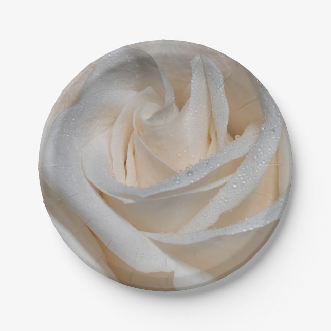 Prato De Papel 7127-White Rose com Dew (Frente)