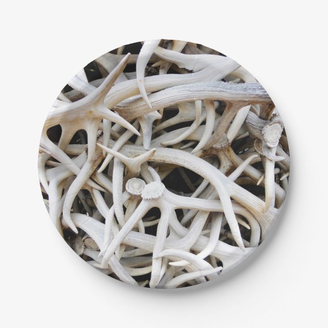 Prato De Papel 8 cilindros de elk de placa de papel (Frente)