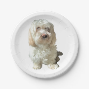 Prato De Papel 8 Paper Plate White Havanese