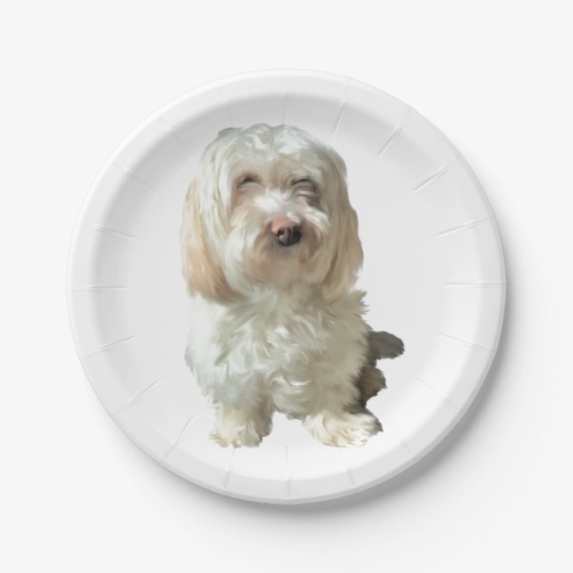 Prato De Papel 8 Paper Plate White Havanese (Frente)