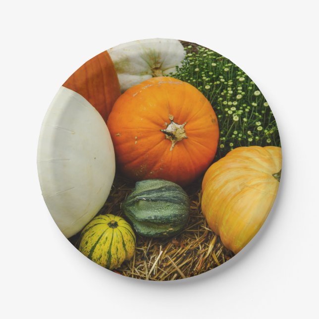 Prato De Papel Abóboras E Cordas (Frente)
