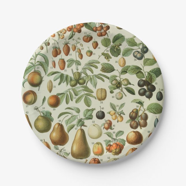 Prato De Papel Adolphe Millot - Frutas (Frente)