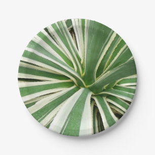 Prato De Papel Agave Plant Green e White Strike