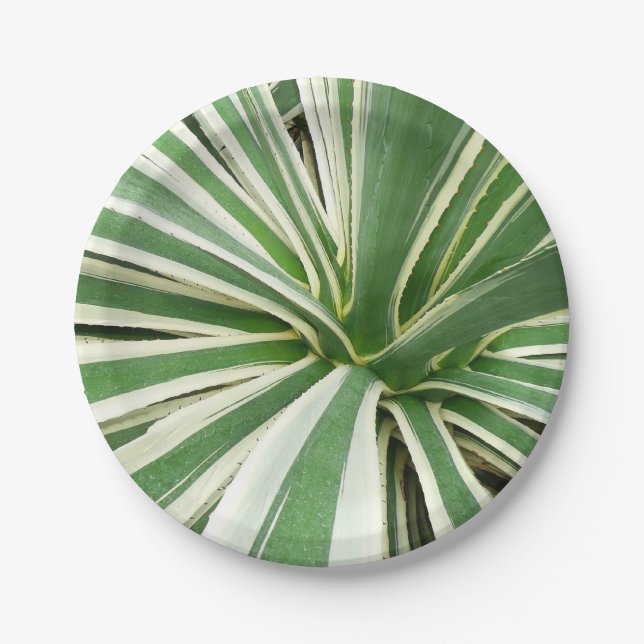 Prato De Papel Agave Plant Green e White Strike (Frente)
