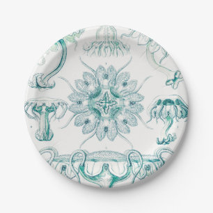 Prato De Papel Água-viva, Desconto de Ernst Haeckel