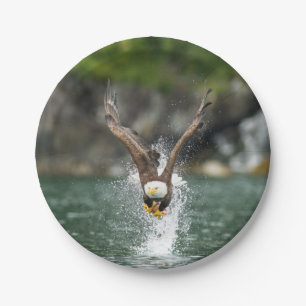 Prato De Papel Águia americana a captura grande